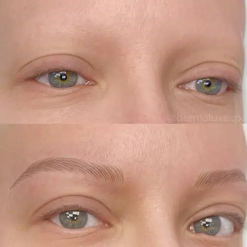 Nano Brows